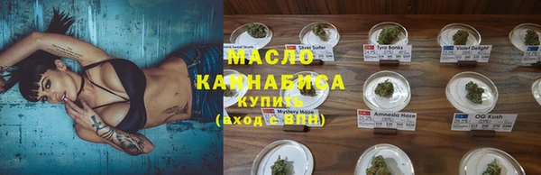 индика Мегион