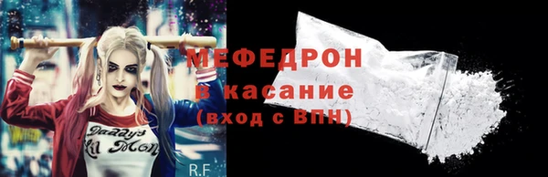 индика Мегион
