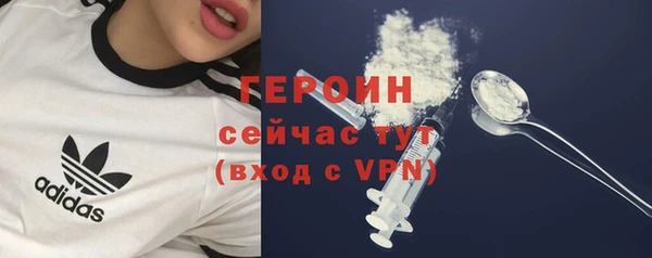 индика Мегион