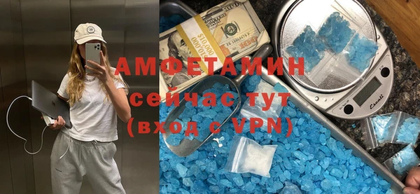 индика Мегион