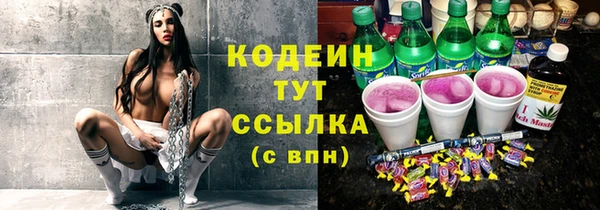 индика Мегион