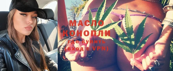 индика Мегион
