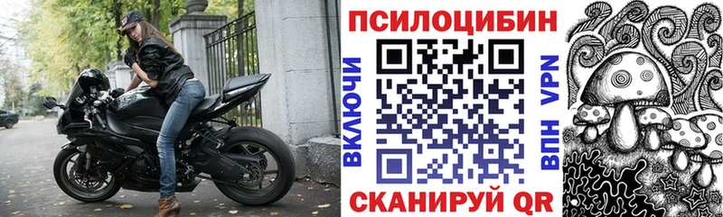 Псилоцибиновые грибы ЛСД blacksprut маркетплейс Питкяранта